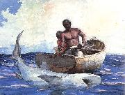 Winslow Homer Shark Fishing china oil painting artist
